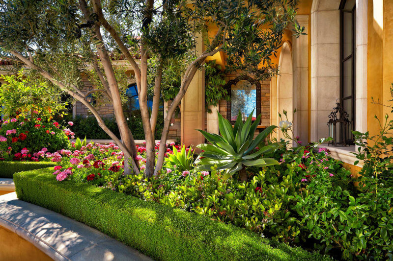 lush entry landscaping