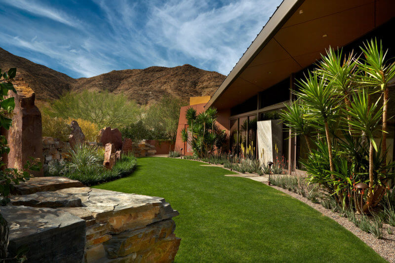 grass in desert landscape design