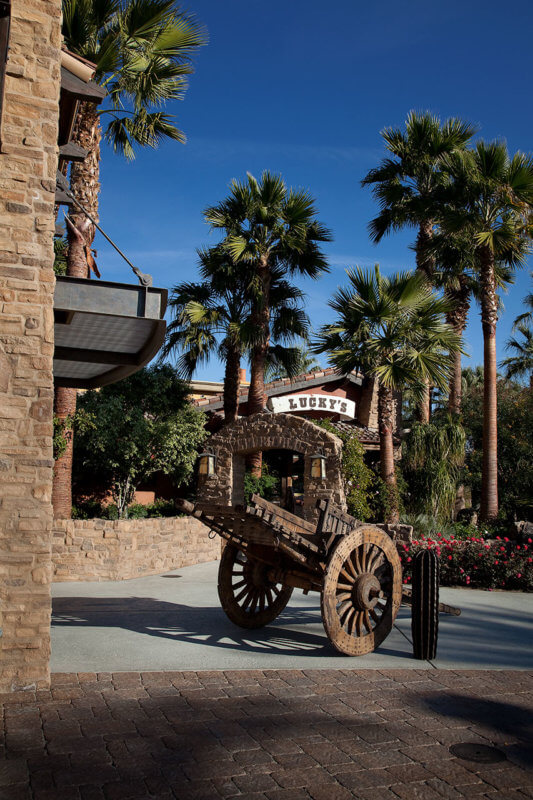 commercial landscape design